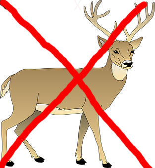 Deer Resistant