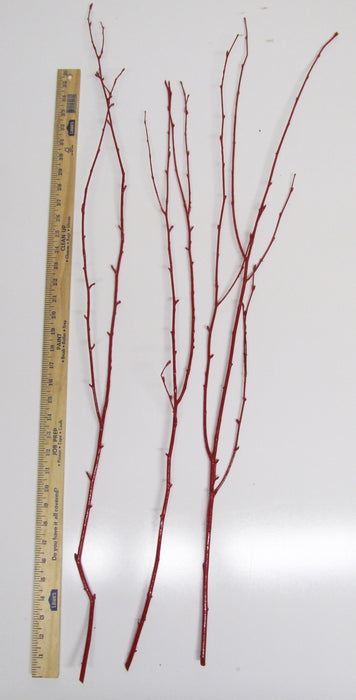 Painted Red Birch Branches - Per Branch