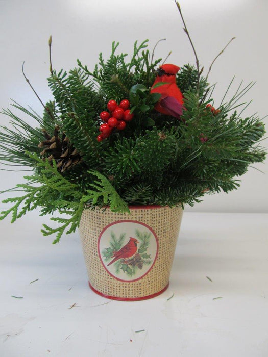 Burlap Cardinal Metal Can Arrangement - Arrangements