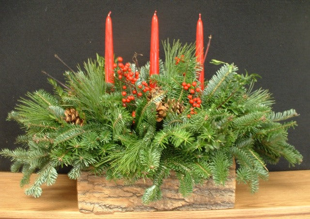 Centerpiece in Pine Bark Box 18-20 - Centerpiece