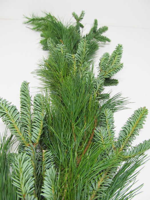 Fraser Fir and Pine Garland - Per Foot - Garland