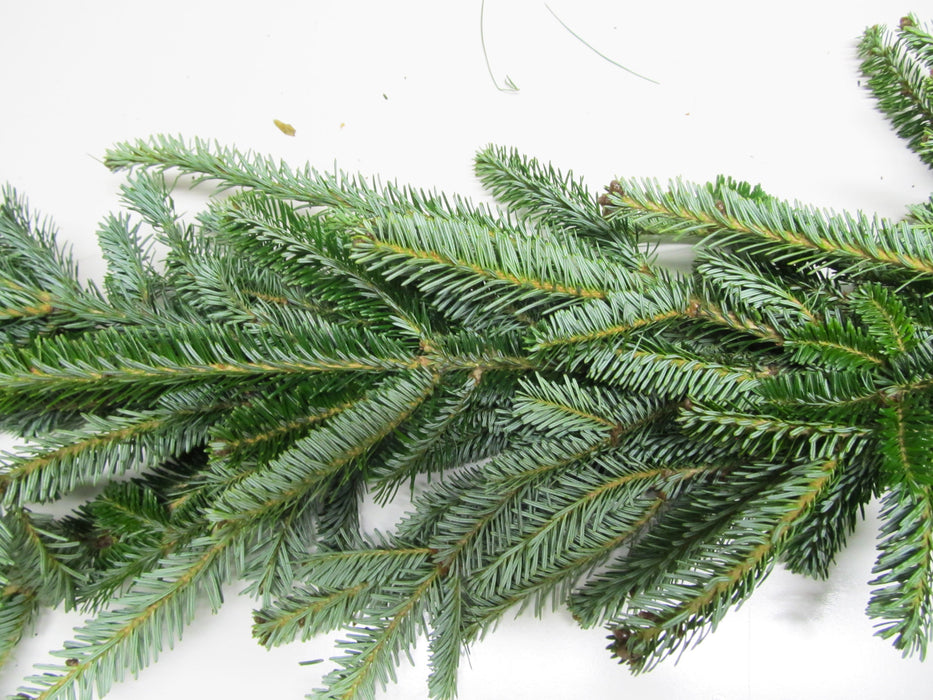 Fraser Fir Garland - Per Foot - Garland