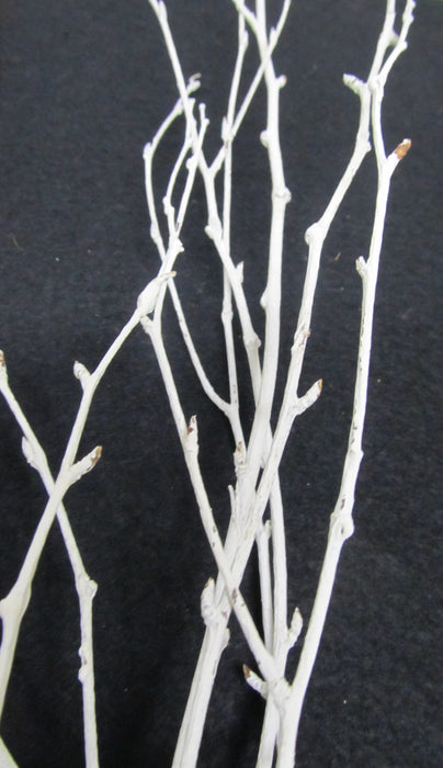 Painted White Birch Branches - Per Branch - Greenery