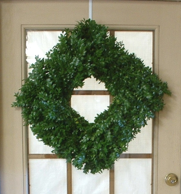 Single Face Boxwood Square/Diamond Wreath - Square Wreath
