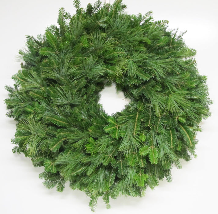 Single Face Fraser Fir & White Pine Wreath - 12-14 / No Bow