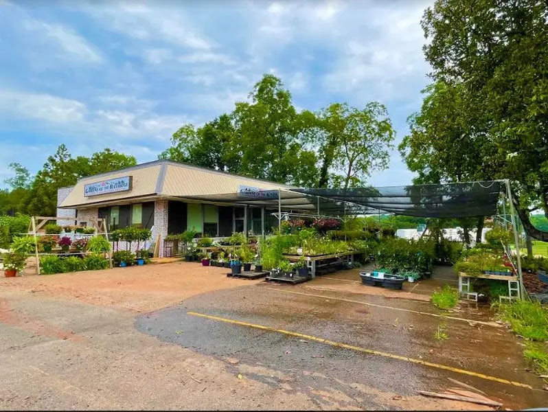 Garden Center Plants — Gardens of The Blue Ridge