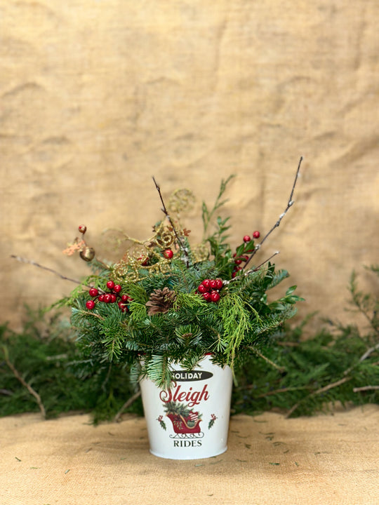 Yuletide Sleigh Bells Pot Arrangement