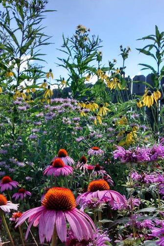 Gardens of The Blue Ridge