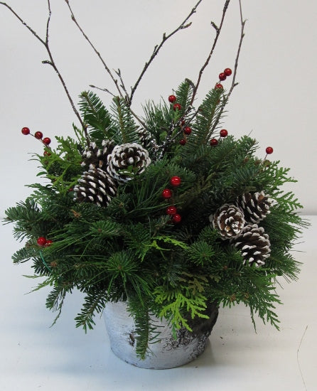 White Christmas Birch Pot Arrangement