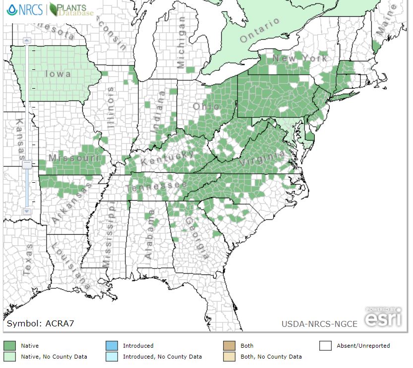 Products — Gardens of The Blue Ridge