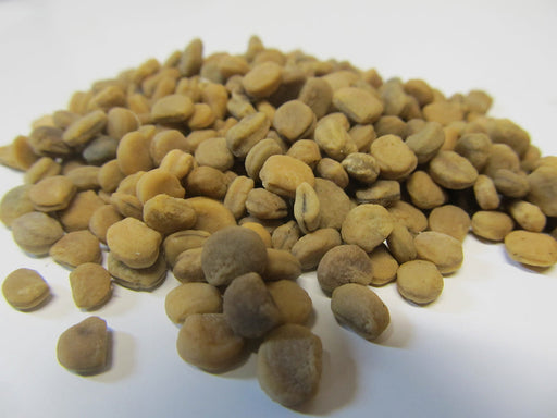 American Ginseng Seeds - Panax quinquefolius - Seed Mixes