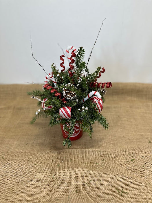 Candy Cane Tin