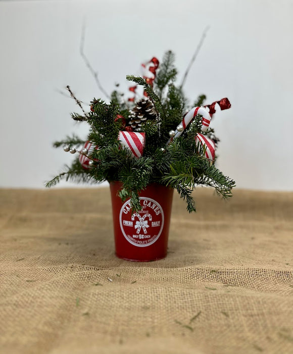 Candy Cane Tin