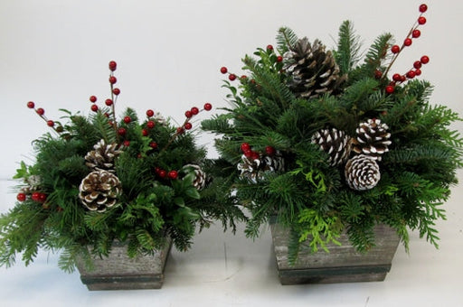 Christmas Time Distressed Barnwood Box Arrangement - 