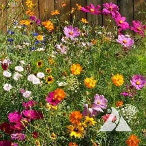 Cutflower Seed Mix
