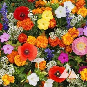 Deer Resistant Seed Mix