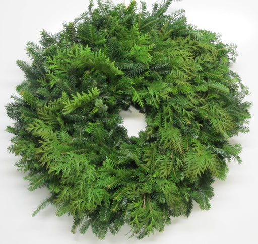 Double Face Fraser Fir & Cedar Wreath - 12-14 / No Bow / No 