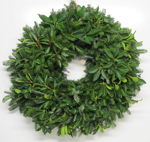Double Face Fraser Fir & Mountain Laurel Wreath - 12-14 / No