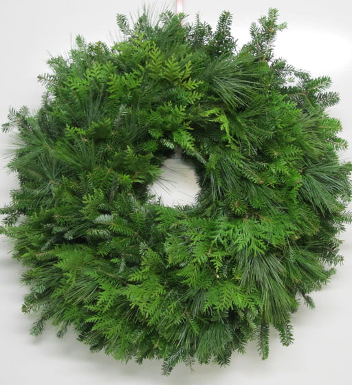 Double Face Fraser Fir White Pine & Cedar Wreath - 12-14 / 