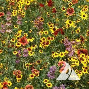 Eastern Pollinator Mix - Seed Mixes