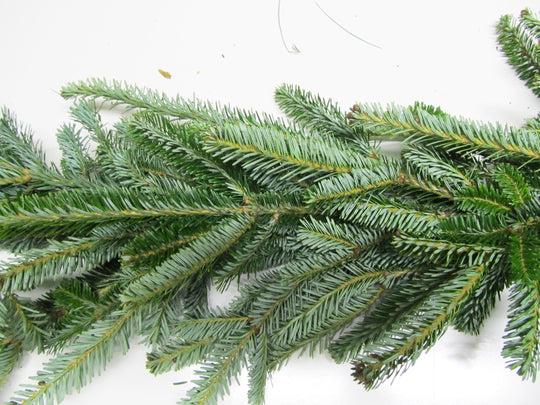 FRASER FIR GARLAND