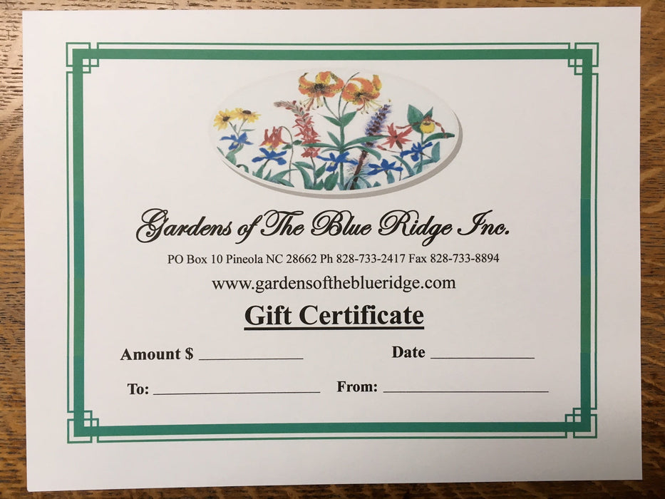 Gift Certificate - Gift Certificate
