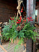 Hanging Wooden Christmas Crate - Decoration