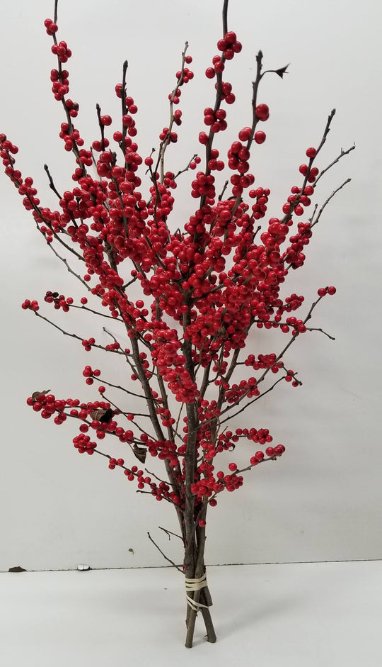 Ilex Winterberry Holly - 18-24" - Bundle of 5 Stems