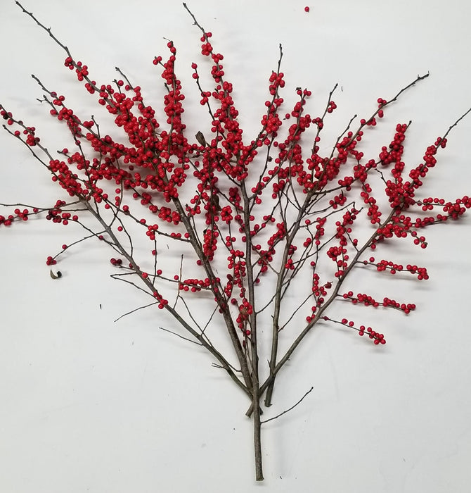 Winterberry Branches, 18-24, 10 Bundles