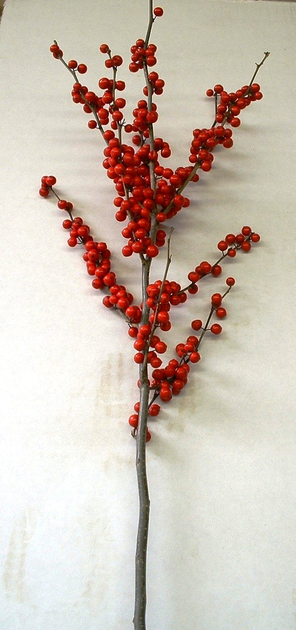 Holly & Berry Stem – The French Cottage