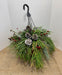 Large Red Hanging Basket Filled With Cryptomeria Pine and 