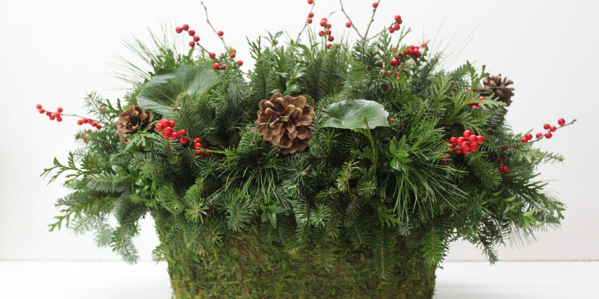 Fairy Garden Moss Basket Kit – Lehua's Forest, Flower Arrangements
