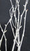 Painted White Birch Branches - Per Branch - Greenery