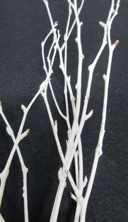 Painted White Birch Branches - Per Branch