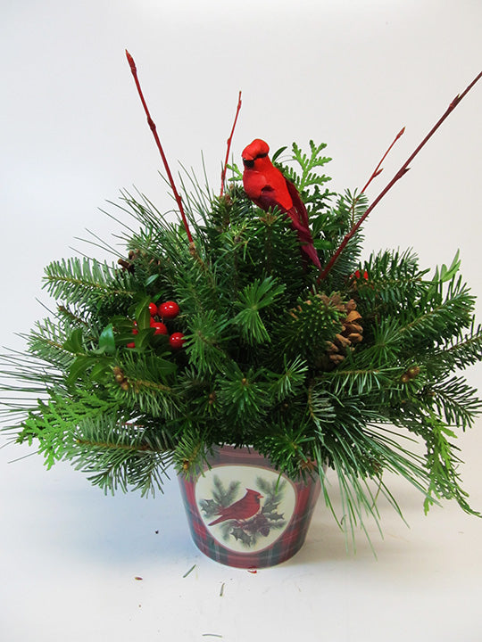 Red and Green Plaid Melamine Pot Arrangement