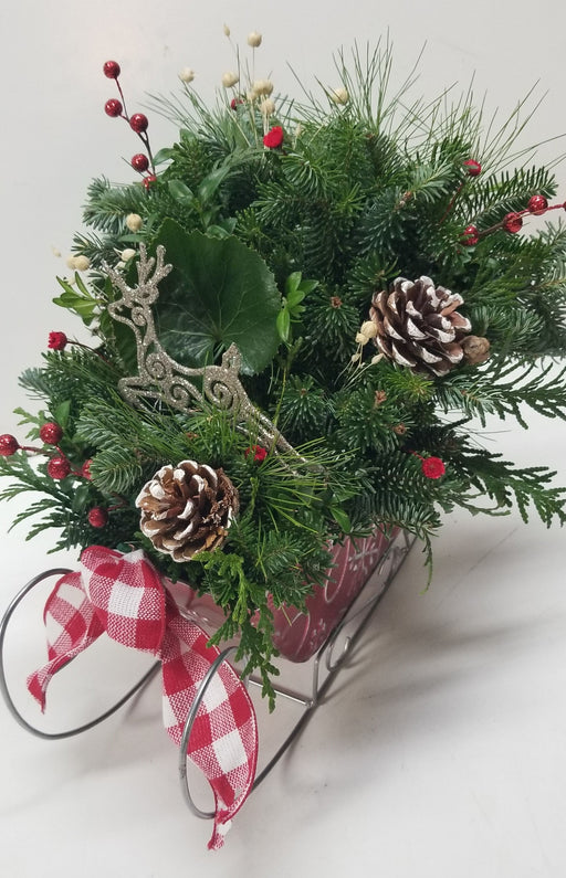 Red Tin Christmas Sleigh - Arrangements