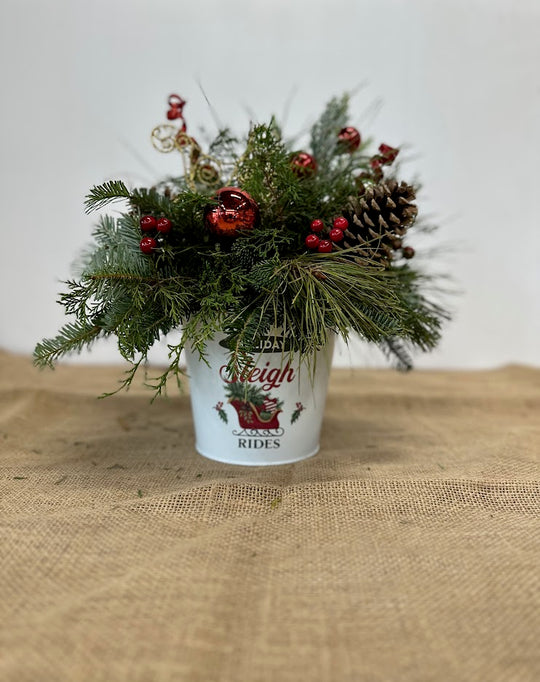 Holiday Sleigh Rides