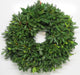 Single Face Fraser Fir & Mountain Laurel Wreath - 12-14 / No