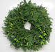 Single Face Fraser Fir White Pine & Mountain Laurel Wreath -