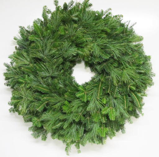 Single Face Fraser Fir & White Pine Wreath - 12-14 / No Bow 