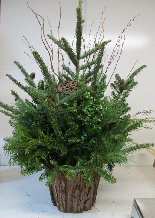 Tree Top Christmas Tree - Arrangements