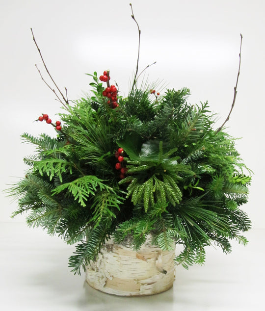 White Christmas Birch Log Arrangement 14-16"