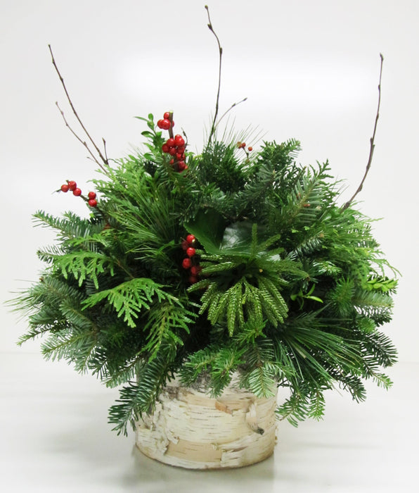 White Christmas Birch Log Arrangement - Arrangements