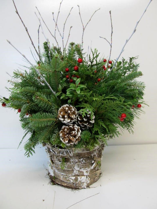 Winter Woodland Snowy Bark Arrangement