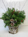 Winter Woodland Snowy Bark Arrangement - Arrangements